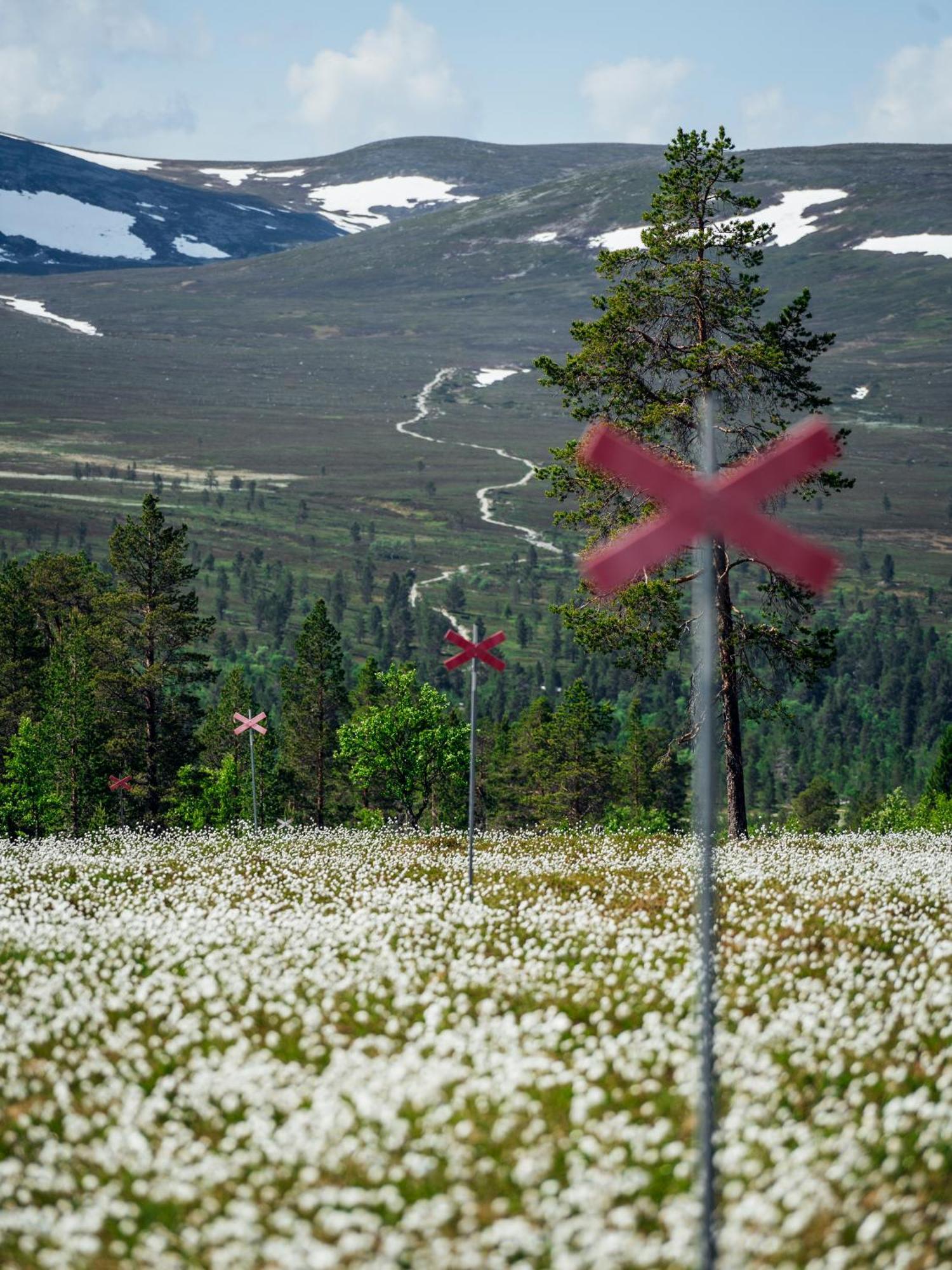 Loevasgardens Fjaellhotell Lovasen Luaran gambar